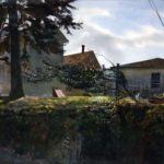 <span>Tree on Lay Terle</span><br/>1996, watercolor, 14 x 20 in.