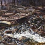 <span>Brook</span><br/>1995, watercolor, 14 x 20 in.