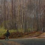 <span>Steam I</span><br/>1999, oil on panel, 24 x 48 in..