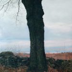 <span>Trees on a Line #28, Winter</span><br/>2005, oil on panel, 32 x 24 in.